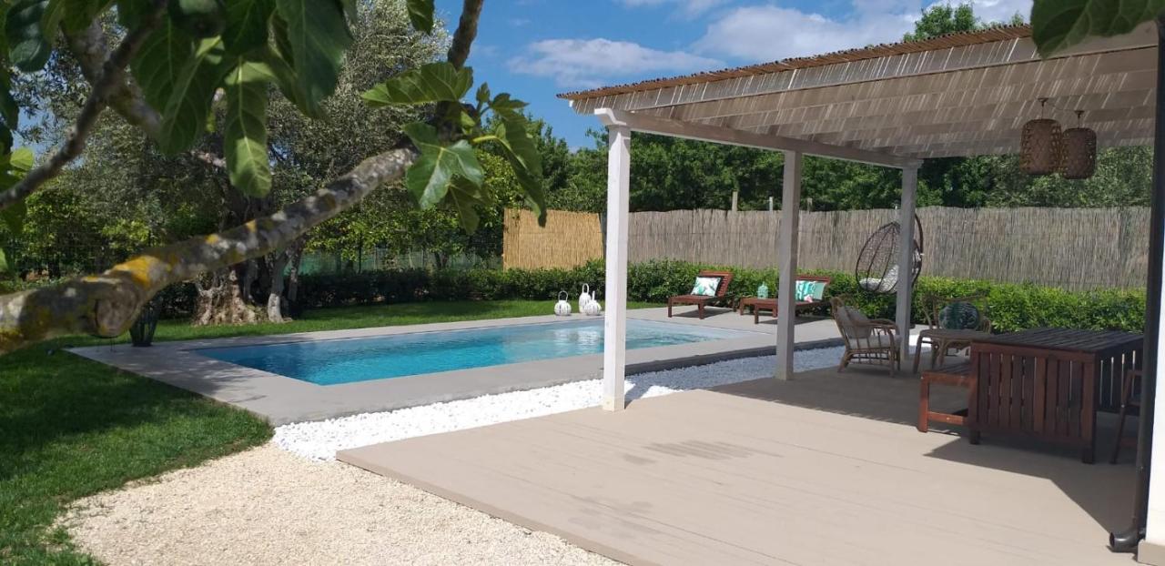 Villa Federica Con Piscina/With Pool Santa Maria Del Focallo Dış mekan fotoğraf