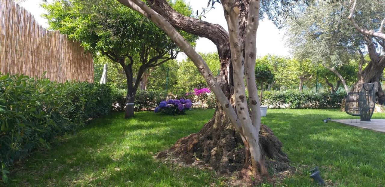 Villa Federica Con Piscina/With Pool Santa Maria Del Focallo Dış mekan fotoğraf